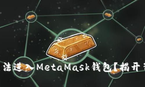 为什么我无法进入MetaMask钱包？揭开背后的真相！
