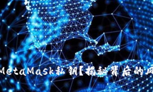如何安全存放MetaMask私钥?揭秘背后的风险与保护措施