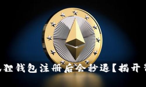 为什么小狐狸钱包注册后会秒退？揭开背后的真相！