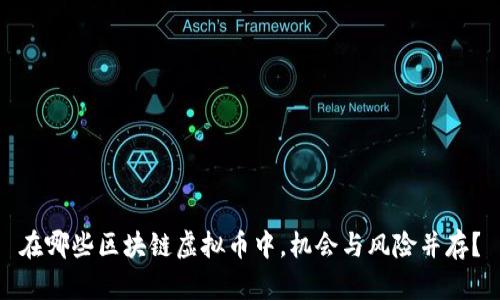 在哪些区块链虚拟币中，机会与风险并存？