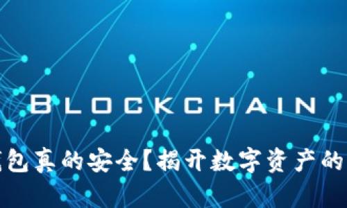 小狐狸钱包真的安全？揭开数字资产的神秘面纱