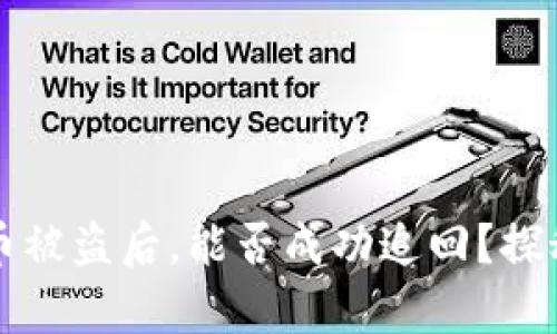 小狐狸钱包币被盗后，能否成功追回？探秘背后的真相