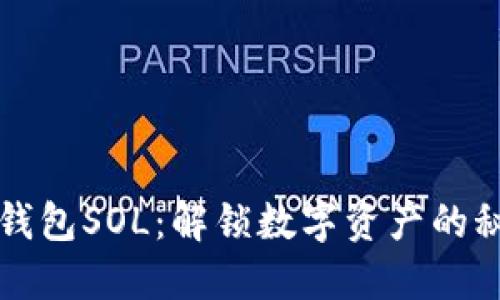 小狐狸钱包SOL：解锁数字资产的秘密花园