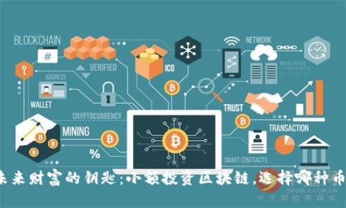 “未来财富的钥匙：小额投资区块链，选择哪种币？”