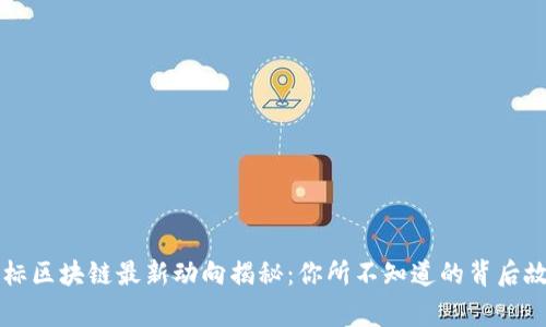 国标区块链最新动向揭秘：你所不知道的背后故事