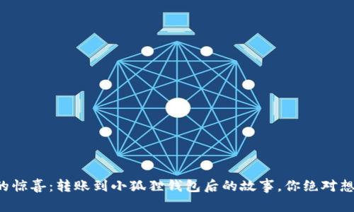 意外的惊喜：转账到小狐狸钱包后的故事，你绝对想不到！