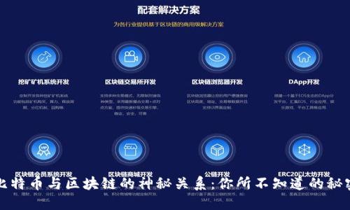 比特币与区块链的神秘关系：你所不知道的秘密