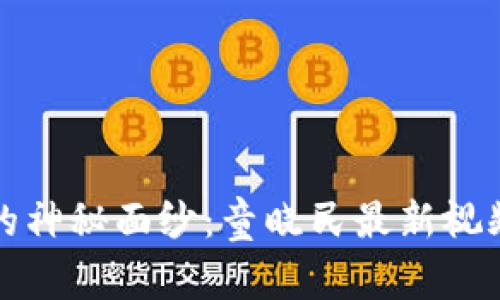 揭开区块链的神秘面纱：童晓民最新视频的深度解读