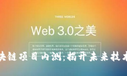 最新区块链项目内测：揭开未来技术的面纱