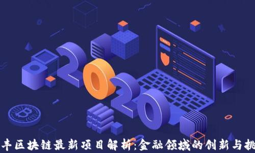 
汇丰区块链最新项目解析：金融领域的创新与挑战