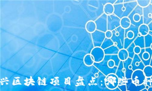 2023年新兴区块链项目盘点:哪些币种值得投资?