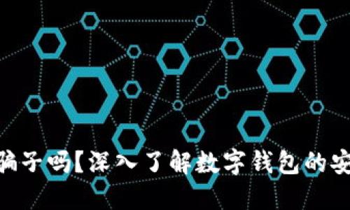 MetaMask是骗子吗？深入了解数字钱包的安全性与合规性
