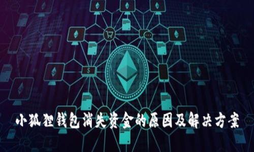 小狐狸钱包消失资金的原因及解决方案