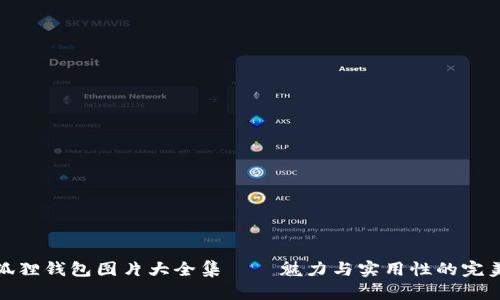 小八狐狸钱包图片大全集——魅力与实用性的完美结合