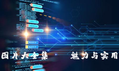 小八狐狸钱包图片大全集——魅力与实用性的完美结合