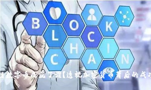 区块链数字币成就了谁？透视加密货币背后的成功故事