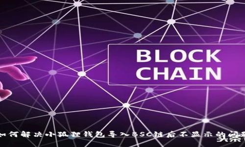 如何解决小狐狸钱包导入BSC链后不显示的问题