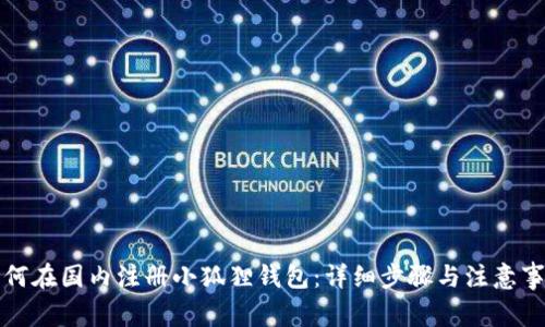 如何在国内注册小狐狸钱包:详细步骤与注意事项