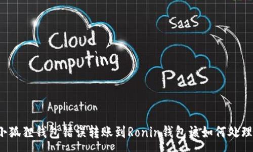 :
小狐狸钱包错误转账到Ronin钱包该如何处理？