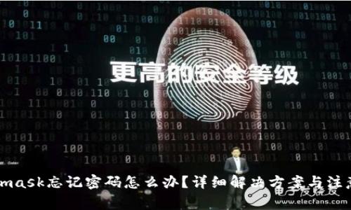 Metamask忘记密码怎么办？详细解决方案与注意事项