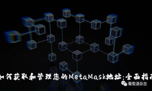 如何获取和管理您的MetaMask地址：全面指南