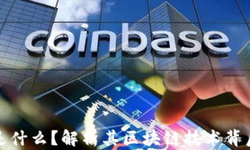 
环球币是什么？解析其区块链技术背后的奥秘