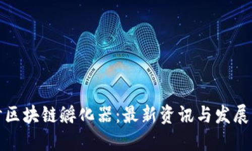 探讨区块链孵化器：最新资讯与发展动态