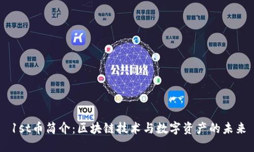 1st币简介：区块链技术与数字资产的未来