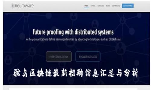 驼鸟区块链最新招聘信息汇总与分析