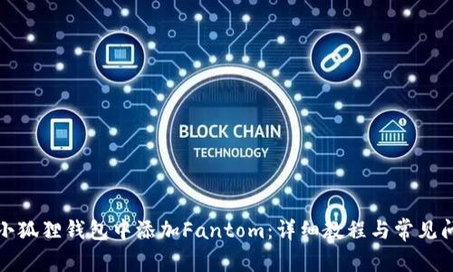 如何在小狐狸钱包中添加Fantom：详细教程与常见问题解答