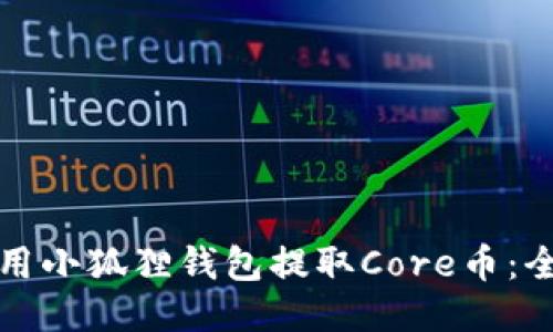 如何使用小狐狸钱包提取Core币：全面指南