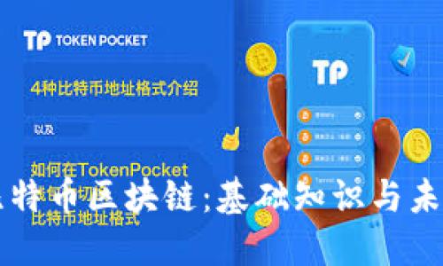 揭秘比特币区块链：基础知识与未来展望