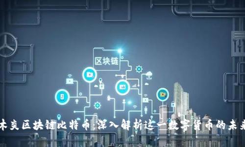 木炎区块链比特币：深入解析这一数字货币的未来