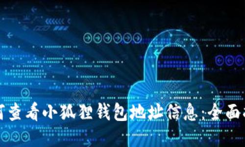 如何查看小狐狸钱包地址信息：全面指南