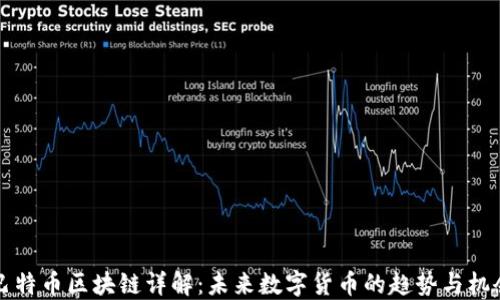 
巴特币区块链详解：未来数字货币的趋势与机会
