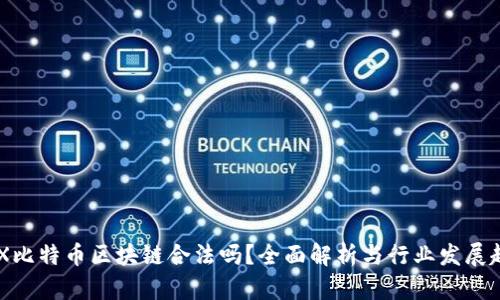 EXX比特币区块链合法吗？全面解析与行业发展趋势