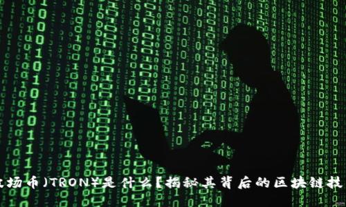 波场币（TRON）是什么？揭秘其背后的区块链技术