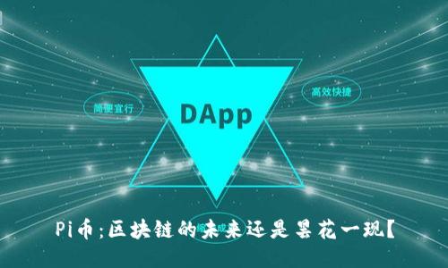 Pi币：区块链的未来还是昙花一现？