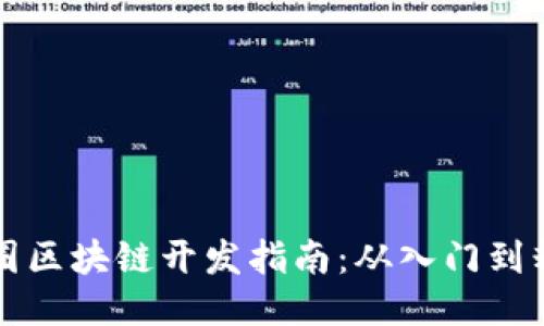 币圈区块链开发指南：从入门到精通