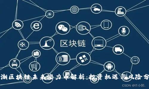 浪潮区块链未来潜力币解析：投资机遇与风险分析