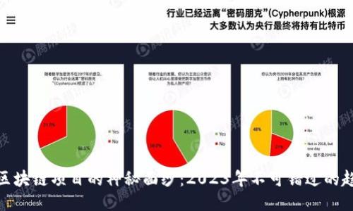揭开最新区块链项目的神秘面纱：2023年不可错过的趋势与机会