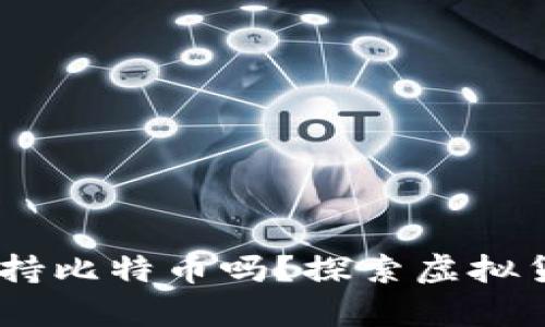 小狐狸钱包：支持比特币吗？探索虚拟货币的存储选择