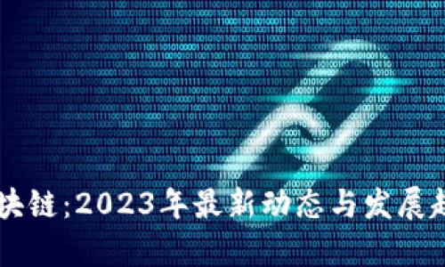 白说区块链：2023年最新动态与发展趋势解析