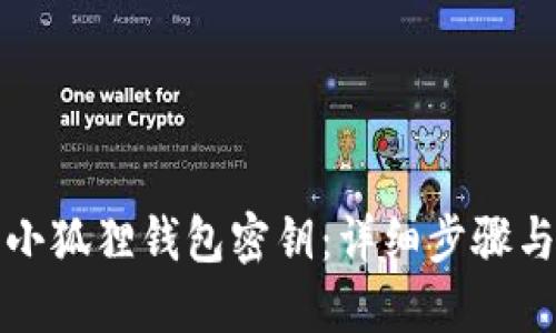 如何导入小狐狸钱包密钥：详细步骤与实用指南