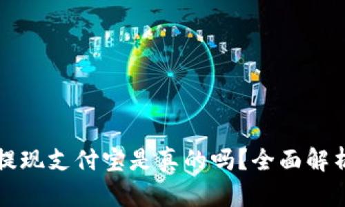 小狐狸钱包提现支付宝是真的吗？全面解析与使用指南