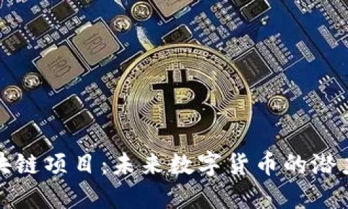 派币区块链项目：未来数字货币的潜力与发展