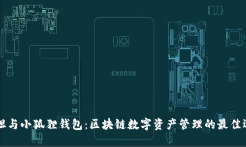 西坦与小狐狸钱包：区块链数字资产管理的最佳选择