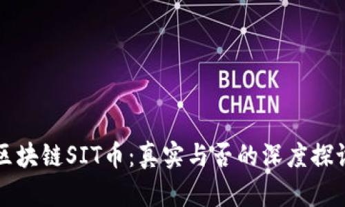 区块链SIT币：真实与否的深度探讨