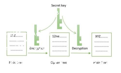 以下是区块链币（加密货币）及其常见英文缩写的一些示例：

1. **比特币 (Bitcoin)** - BTC
2. **以太坊 (Ethereum)** - ETH
3. **瑞波币 (Ripple)** - XRP
4. **莱特币 (Litecoin)** - LTC
5. **比特币现金 (Bitcoin Cash)** - BCH
6. **链环币 (Chainlink)** - LINK
7. **柚子币 (EOS)** - EOS
8. **阿根廷币 (Argent)** - AGENT
9. **波卡 (Polkadot)** - DOT
10. **狗狗币 (Dogecoin)** - DOGE

这些缩写在加密货币交易所和市场分析中常常使用，用于简洁地表示特定的加密货币。