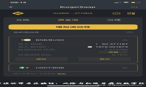 全面解读世界币区块链: 风险与机遇并存的数字经济未来